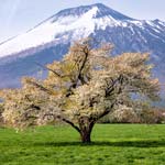 新型コロナウイルス感染拡大に伴うセミナー自粛のお知らせ